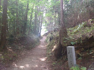 f0028132_2363418.jpg