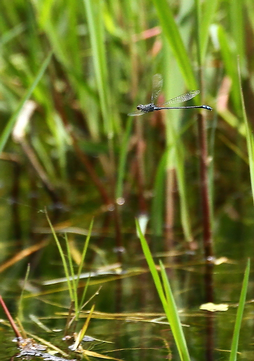 b0242140_1633514.jpg