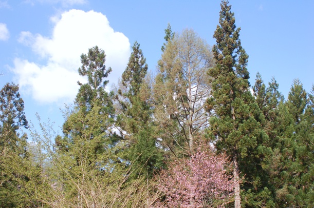 c0002943_1845935.jpg