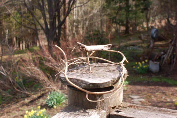c0002943_1862535.jpg