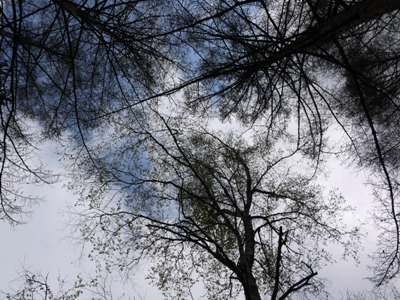e0100046_22275890.jpg