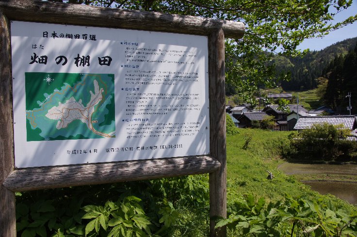 d0048750_2030359.jpg