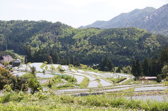d0048750_20311029.jpg