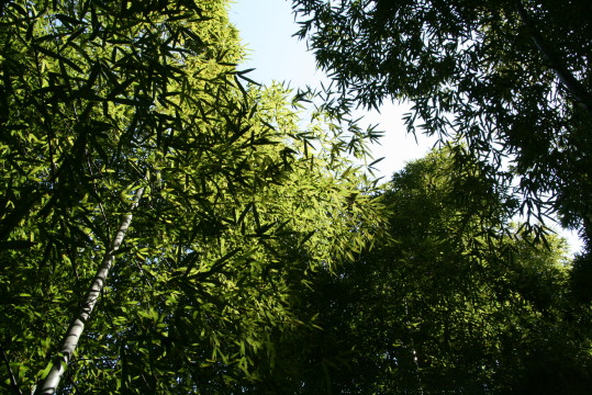 f0211752_23173823.jpg
