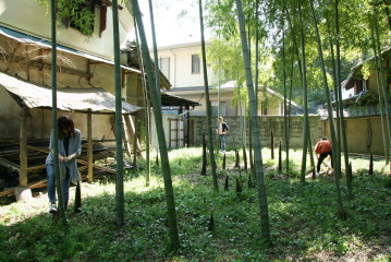 f0211752_23193310.jpg