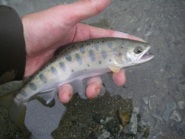 f0212059_21414798.jpg