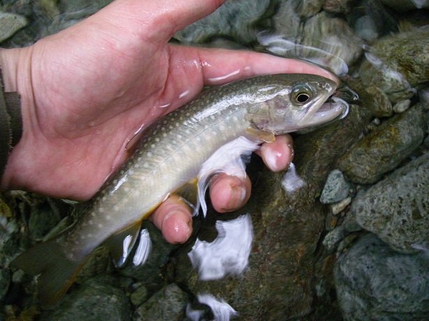 f0212059_2142079.jpg