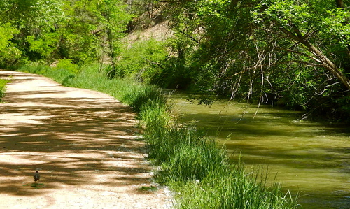 b0207361_10232893.jpg