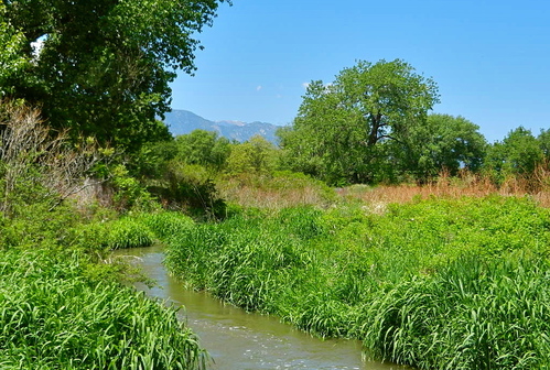 b0207361_10255375.jpg
