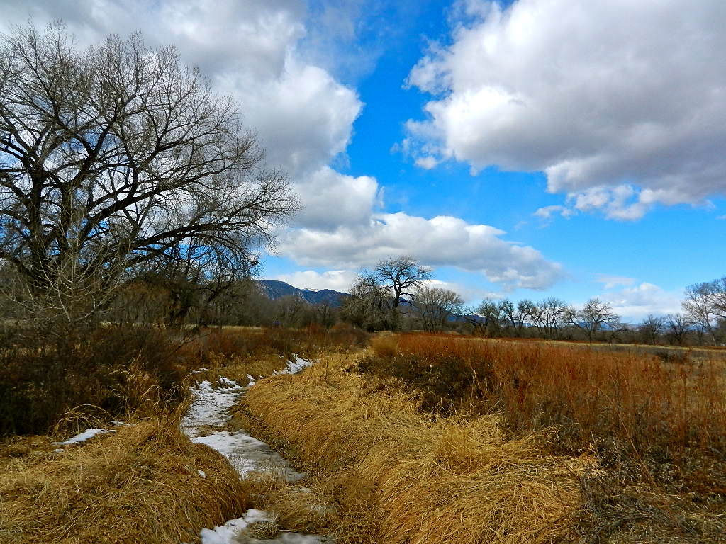 b0207361_1027170.jpg