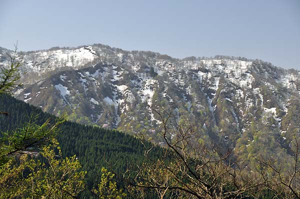 c0043361_2319531.jpg