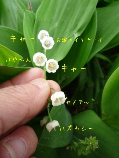 f0177261_23144438.jpg