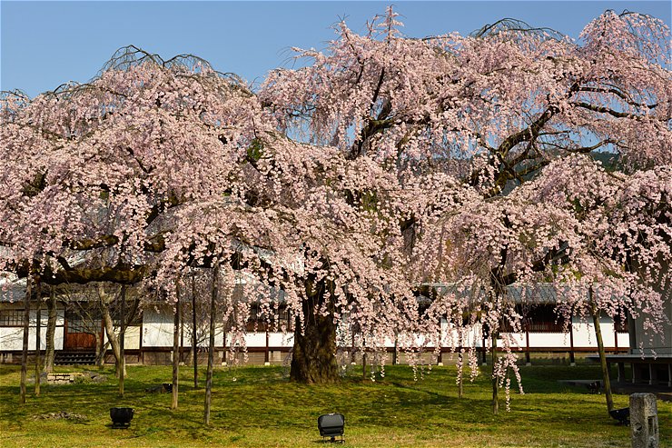 f0222161_22221514.jpg