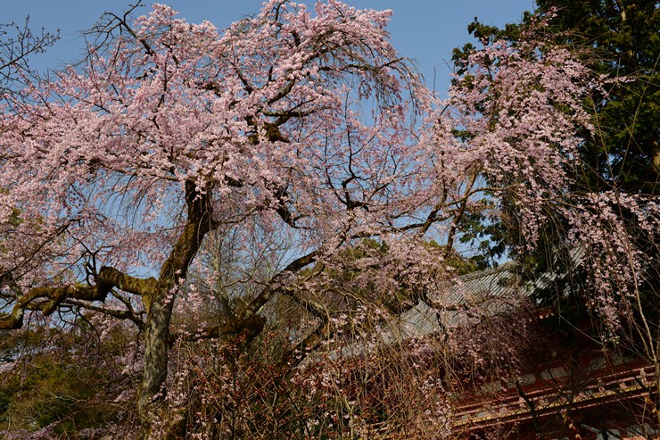 f0222161_22222614.jpg