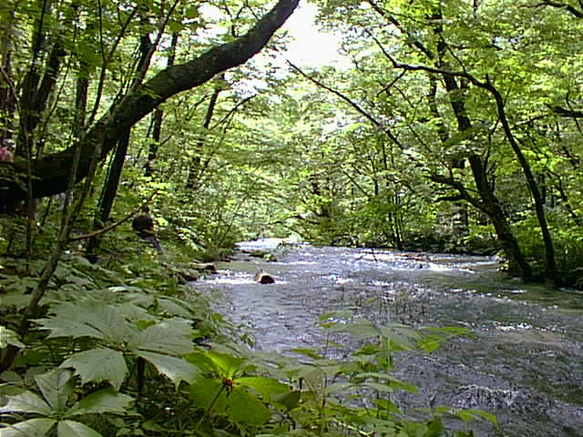 a0252463_1139851.jpg