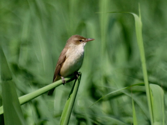f0208666_9213936.jpg