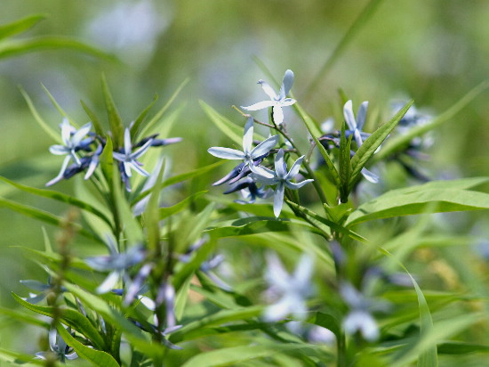 f0208666_973440.jpg