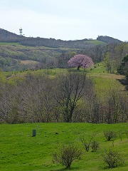 e0160568_11193387.jpg
