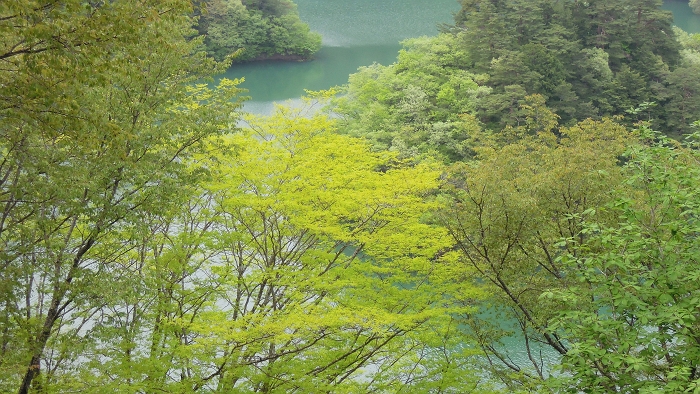 f0115475_17585673.jpg