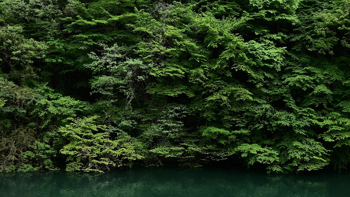 f0115475_1759810.jpg
