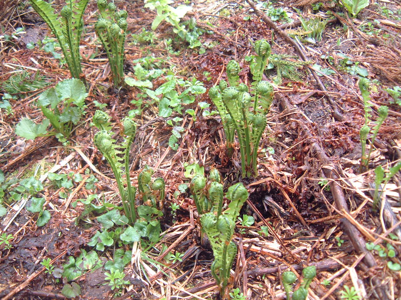 c0237780_12464361.jpg