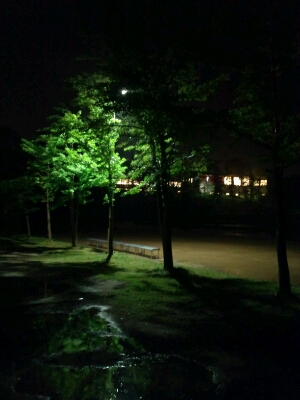 f0232181_22311960.jpg