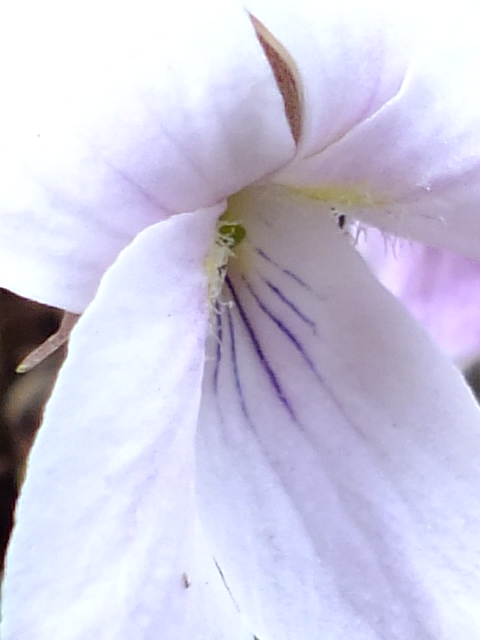 e0145782_11251514.jpg