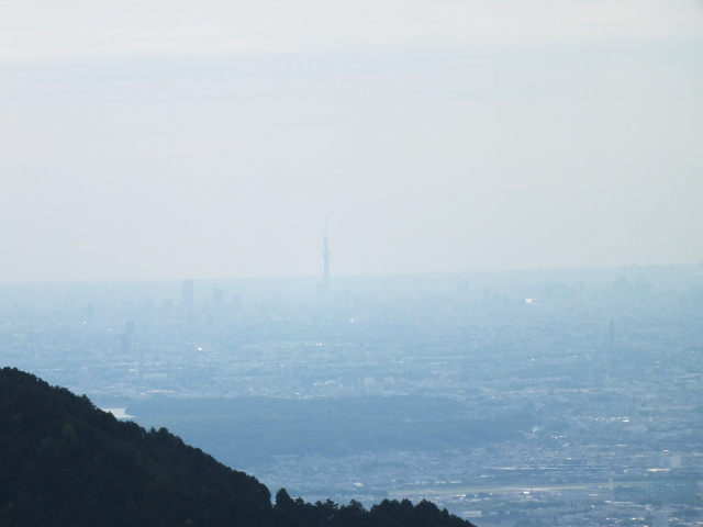 e0145782_116169.jpg