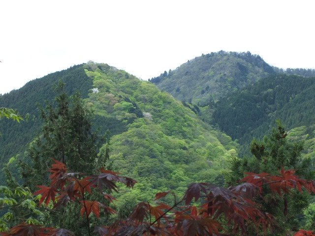 e0145782_1163989.jpg