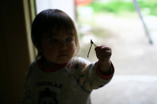 a0243388_055987.jpg