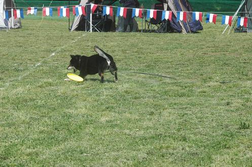 c0123890_11173941.jpg