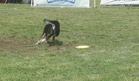 c0123890_1117659.jpg
