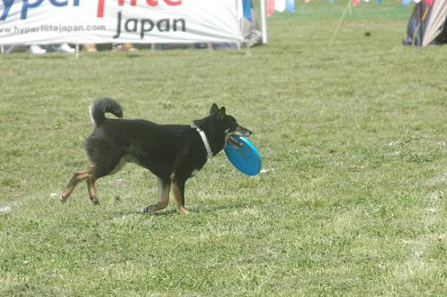 c0123890_11391815.jpg