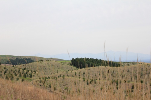 e0229992_16391525.jpg
