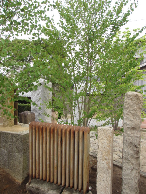 a0193698_19285055.jpg