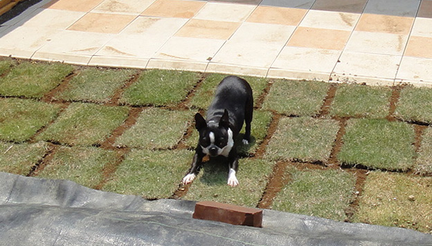 c0094999_3523063.jpg