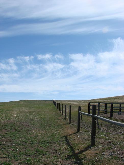 d0251307_6272954.jpg