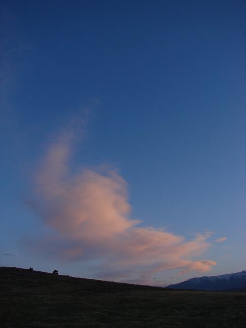 d0251307_6454614.jpg