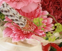 b0241310_22541554.jpg