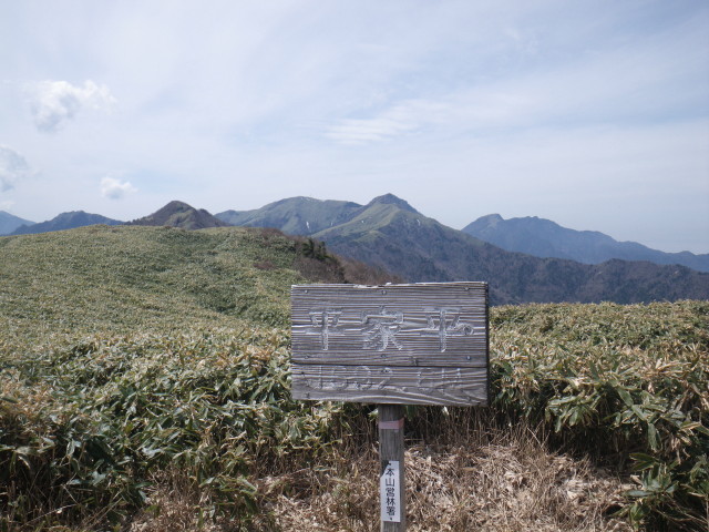 d0006512_033292.jpg