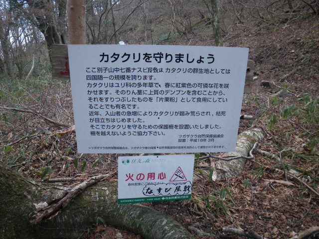 d0006512_0371144.jpg