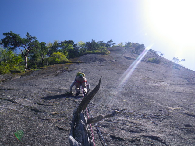 d0006512_8291114.jpg