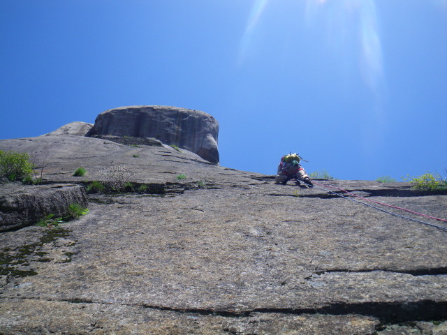 d0006512_8294526.jpg