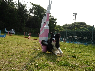 c0181414_23561789.jpg