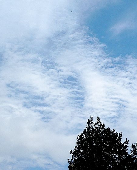 f0036716_16245540.jpg