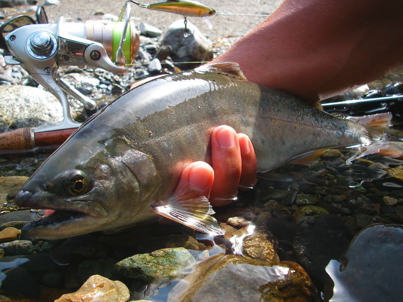 a0190318_20442012.jpg