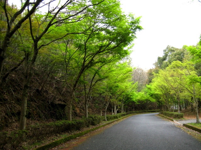 b0209919_22551288.jpg