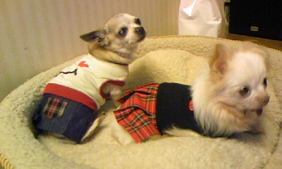 c0150520_024527.jpg