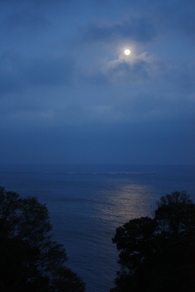 e0123322_2322660.jpg