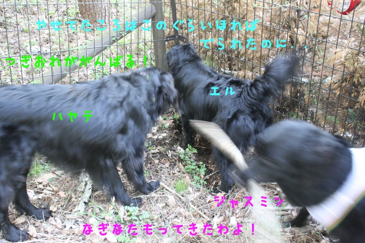 c0237824_10512375.jpg
